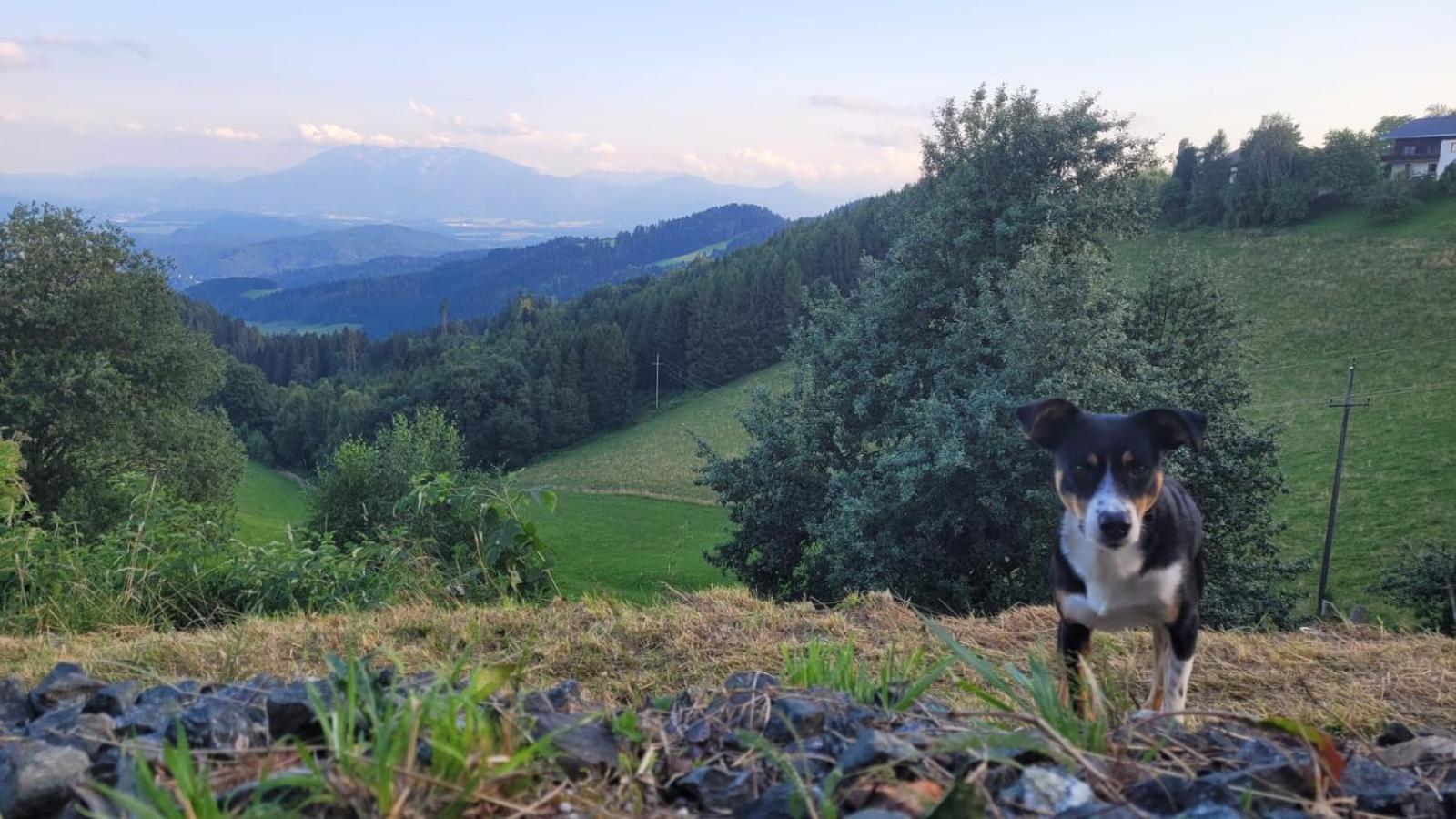 Gasthof Machwirth Griffen 외부 사진